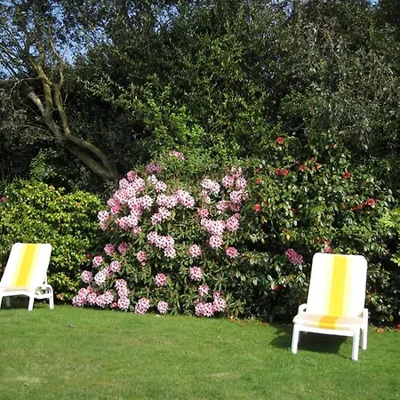 Trelawne Hotel